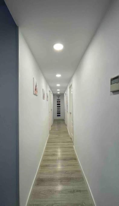 Encantador Apartamento Plaza Mayor Madrid Centro エクステリア 写真