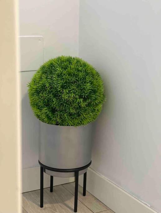 Encantador Apartamento Plaza Mayor Madrid Centro エクステリア 写真