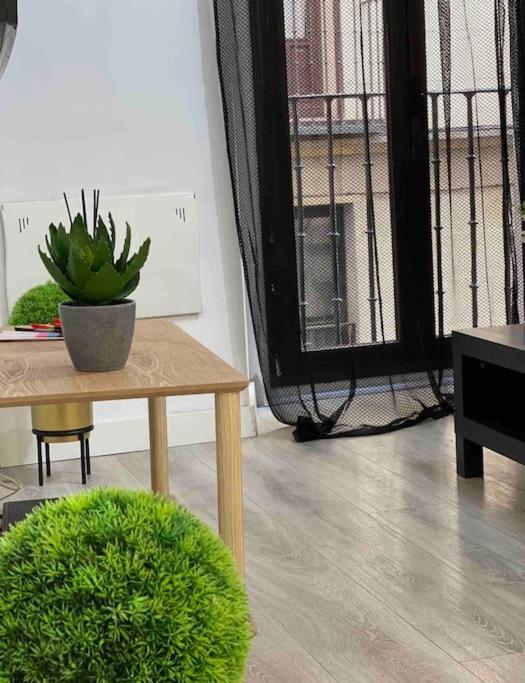 Encantador Apartamento Plaza Mayor Madrid Centro エクステリア 写真